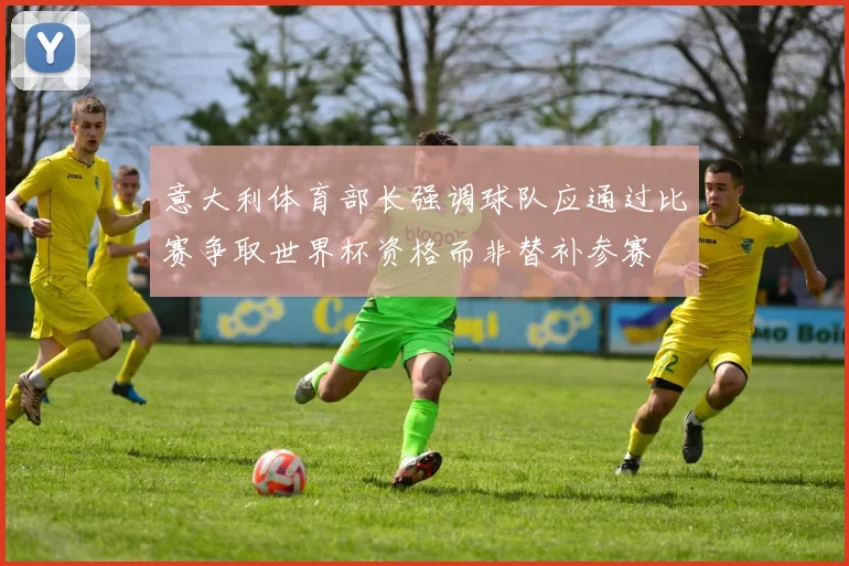 意大利体育部长强调球队应通过比赛争取世界杯资格而非替补参赛