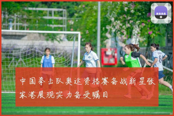 中国拳击队奥运资格赛备战新星张家港展现实力备受瞩目